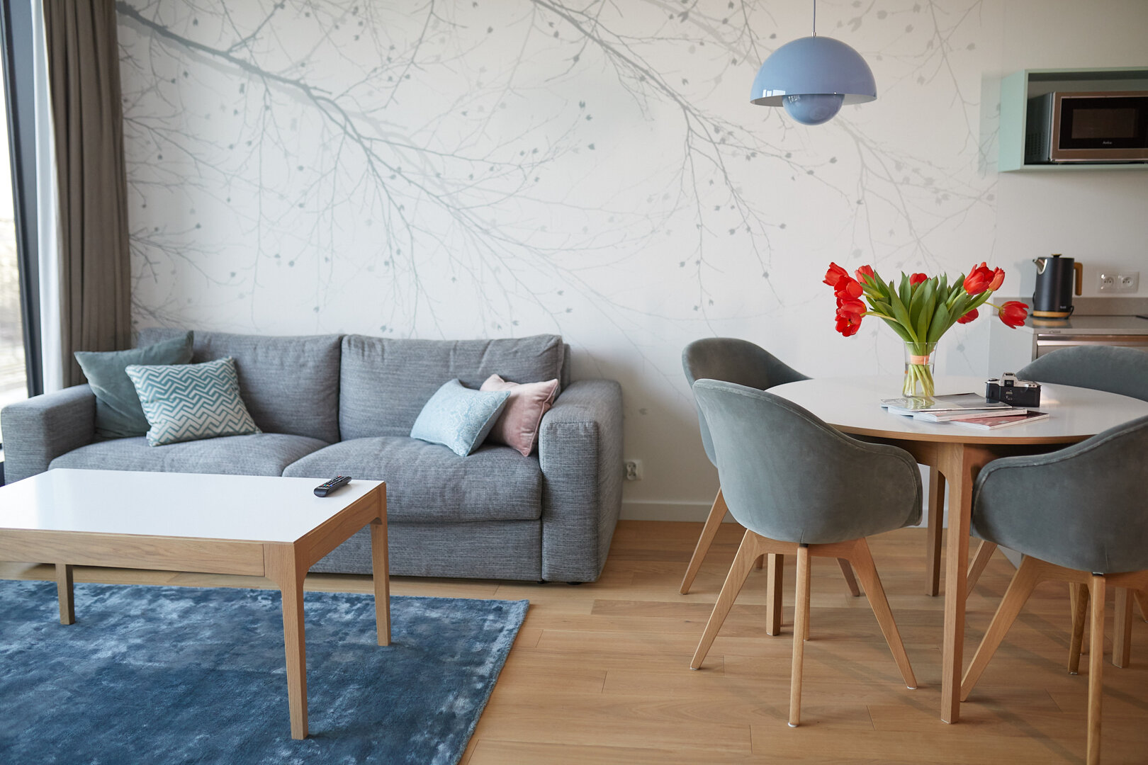 Aparthotel Park - Apartament z 1 sypialnią with View Park